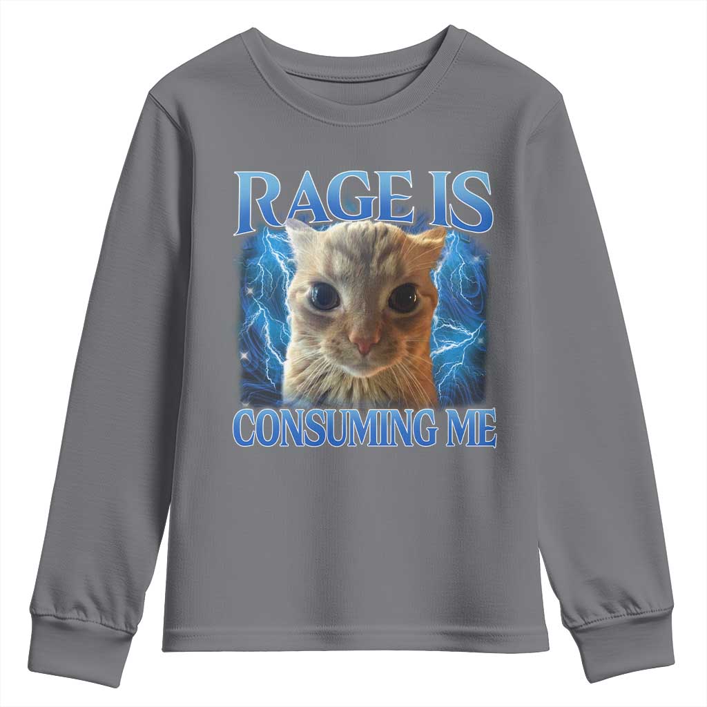 Rage Is Consuming Me Cat Meme Youth Sweatshirt Funny Weird Humor Cat Face Bootleg TS10 Charcoal Print Your Wear