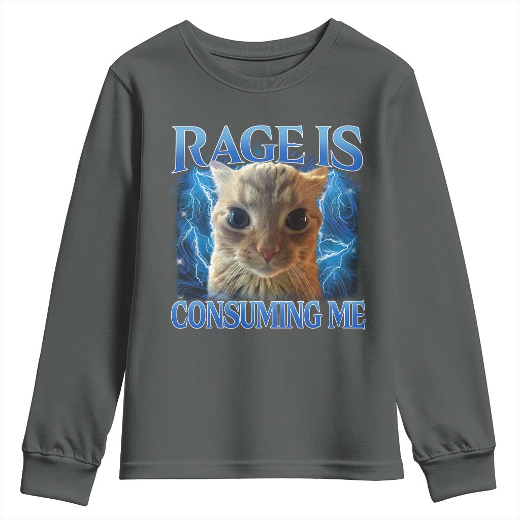 Rage Is Consuming Me Cat Meme Youth Sweatshirt Funny Weird Humor Cat Face Bootleg TS10 Dark Heather Print Your Wear