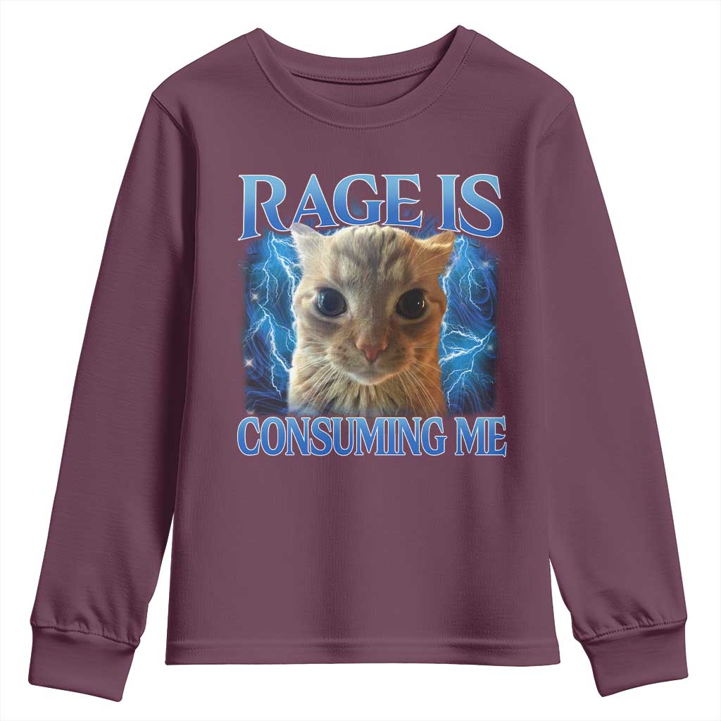 Rage Is Consuming Me Cat Meme Youth Sweatshirt Funny Weird Humor Cat Face Bootleg TS10 Maroon Print Your Wear