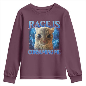 Rage Is Consuming Me Cat Meme Youth Sweatshirt Funny Weird Humor Cat Face Bootleg TS10 Maroon Print Your Wear