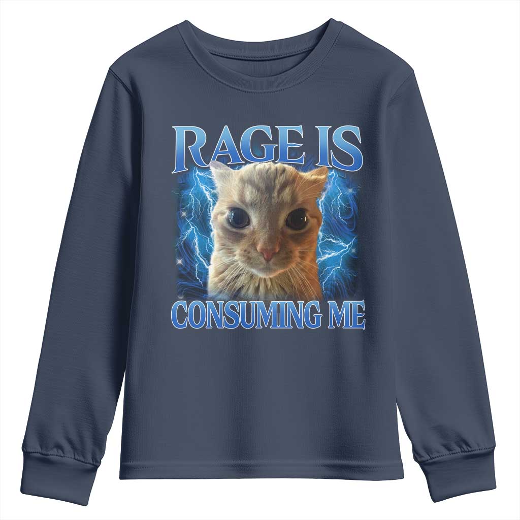 Rage Is Consuming Me Cat Meme Youth Sweatshirt Funny Weird Humor Cat Face Bootleg TS10 Navy Print Your Wear