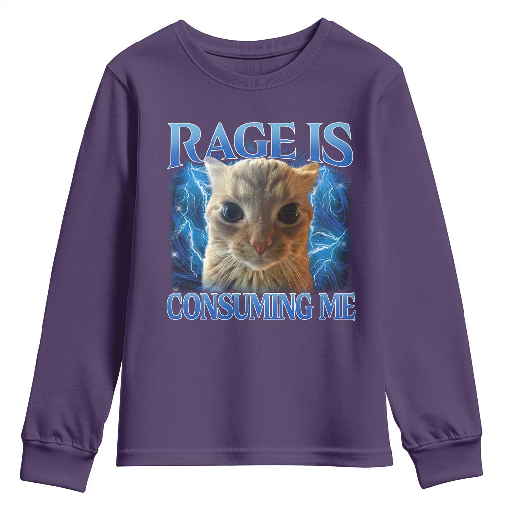 Rage Is Consuming Me Cat Meme Youth Sweatshirt Funny Weird Humor Cat Face Bootleg TS10 Purple Print Your Wear