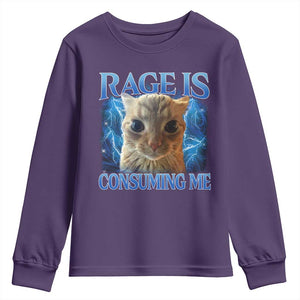 Rage Is Consuming Me Cat Meme Youth Sweatshirt Funny Weird Humor Cat Face Bootleg TS10 Purple Print Your Wear