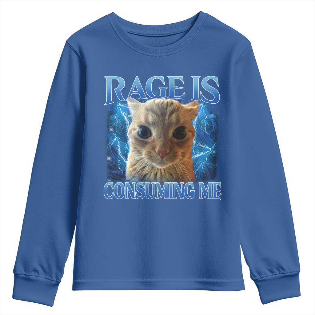 Rage Is Consuming Me Cat Meme Youth Sweatshirt Funny Weird Humor Cat Face Bootleg TS10 Royal Blue Print Your Wear