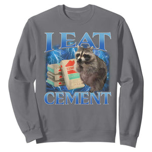 I Eat Cement Sweatshirt Cursed Raccoon Funny Oddly Dank Meme Gen Z TS10 Charcoal Print Your Wear