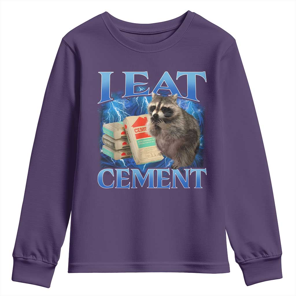 I Eat Cement Youth Sweatshirt Cursed Raccoon Funny Oddly Dank Meme Gen Z TS10 Purple Print Your Wear