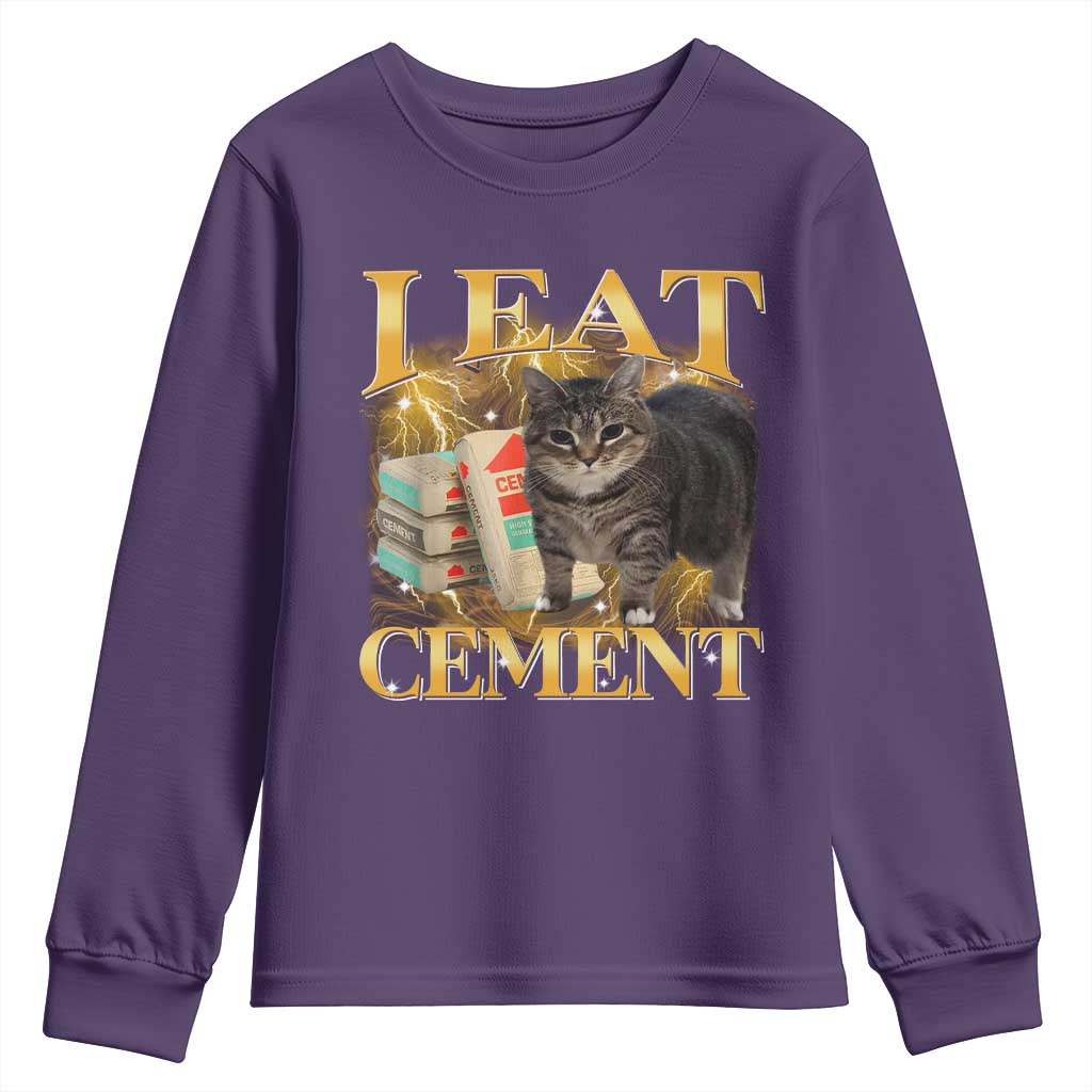 I Eat Cement Cat Meme Youth Sweatshirt Funny Internet Memes Bootleg Cursed Cat Lovers TS10 Purple Print Your Wear