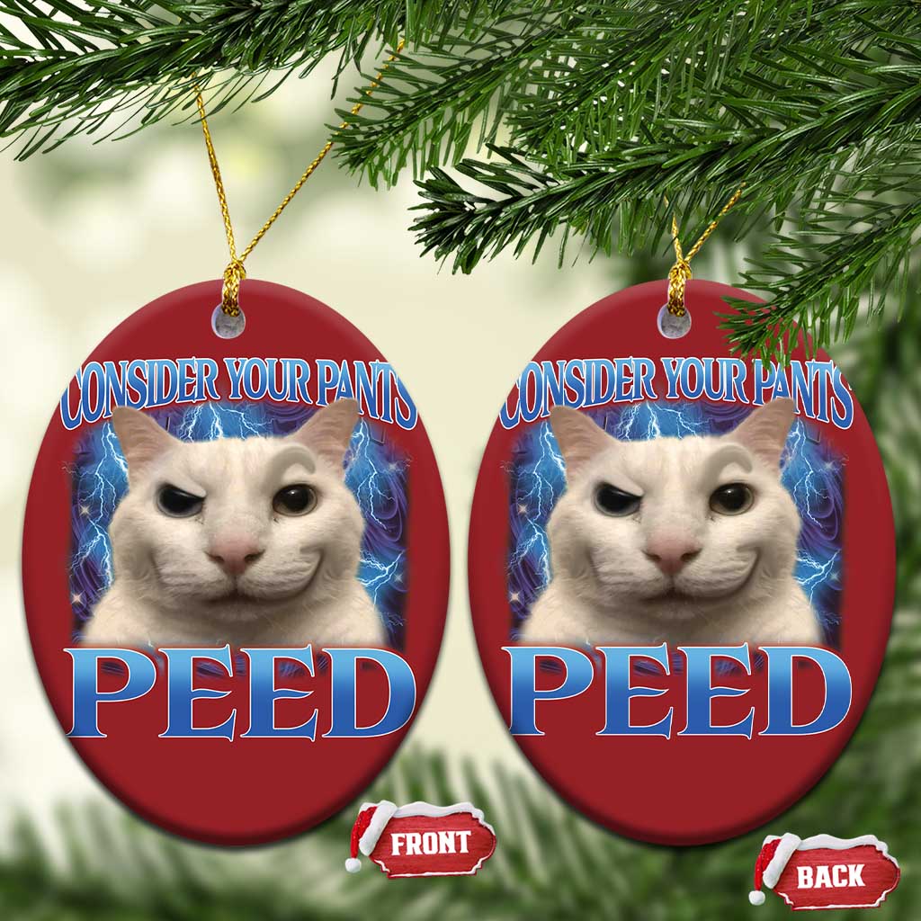 Meme Cat Christmas Ornament Funny Weird Humor Consider Your Pants Peed TS10 Oval Red Print Your Wear