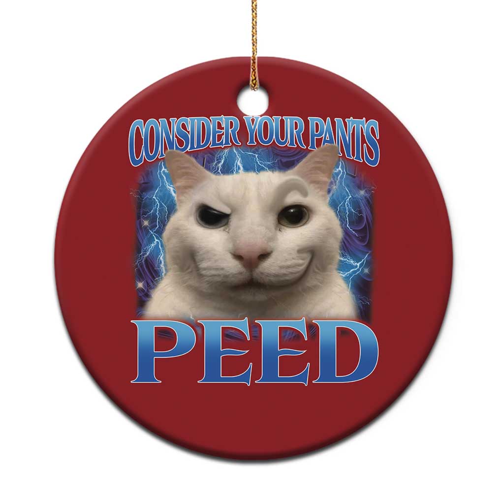 Meme Cat Christmas Ornament Funny Weird Humor Consider Your Pants Peed TS10 Print Your Wear