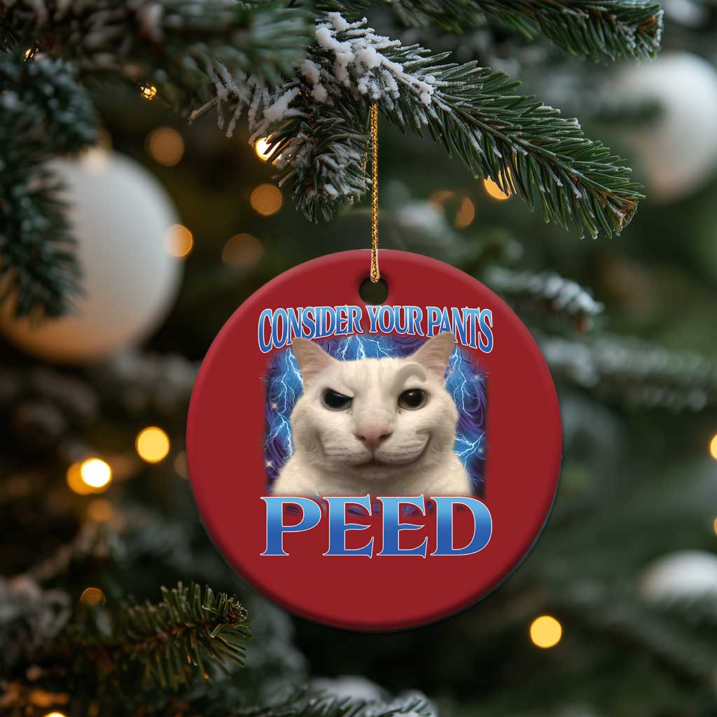 Meme Cat Christmas Ornament Funny Weird Humor Consider Your Pants Peed TS10 Print Your Wear
