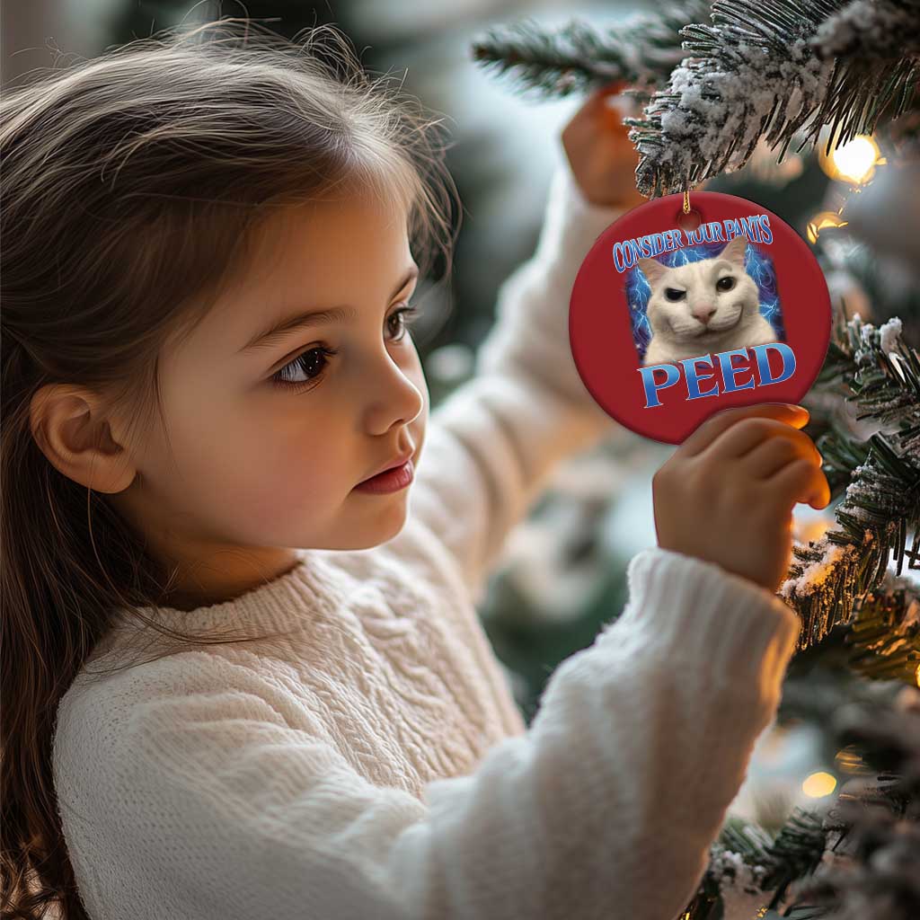 Meme Cat Christmas Ornament Funny Weird Humor Consider Your Pants Peed TS10 Print Your Wear