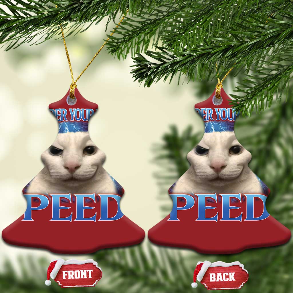 Meme Cat Christmas Ornament Funny Weird Humor Consider Your Pants Peed TS10 Christmas Tree Red Print Your Wear