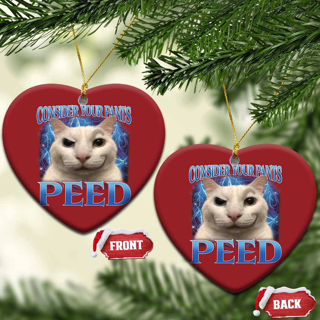 Meme Cat Christmas Ornament Funny Weird Humor Consider Your Pants Peed TS10 Heart Red Print Your Wear