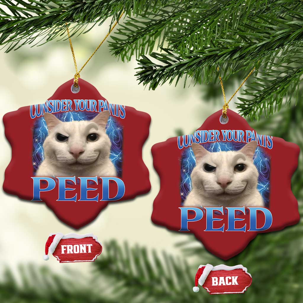 Meme Cat Christmas Ornament Funny Weird Humor Consider Your Pants Peed TS10 Snow Flake Red Print Your Wear