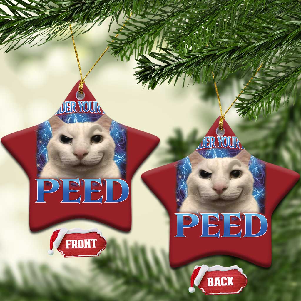 Meme Cat Christmas Ornament Funny Weird Humor Consider Your Pants Peed TS10 Star Red Print Your Wear