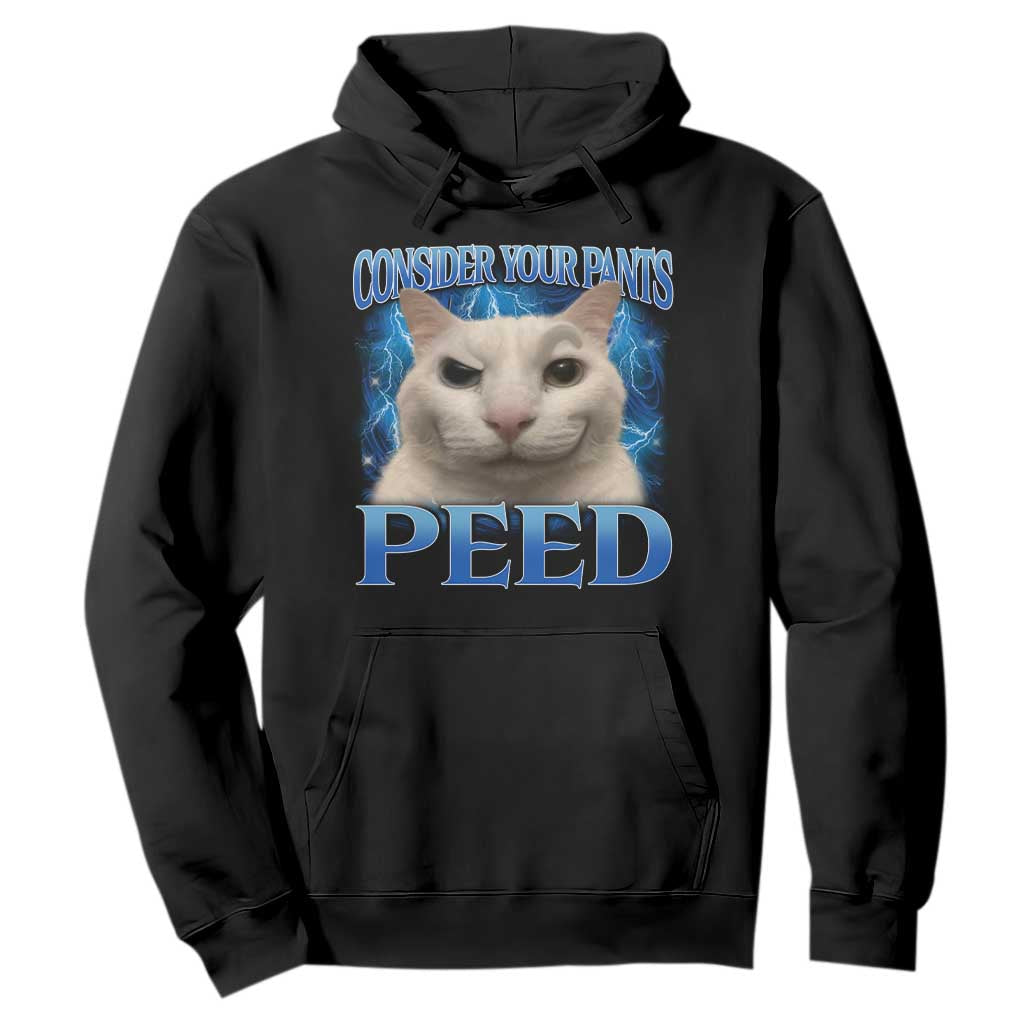 Meme Cat Hoodie Funny Weird Humor Consider Your Pants Peed TS10 Black Print Your Wear