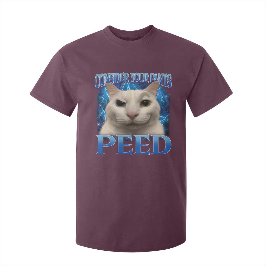 Meme Cat T Shirt For Kid Funny Weird Humor Consider Your Pants Peed TS10 Maroon Print Your Wear