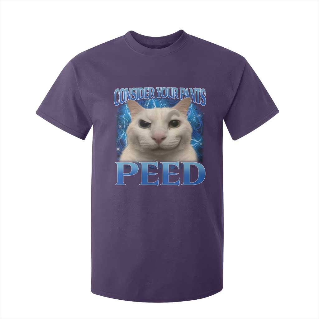 Meme Cat T Shirt For Kid Funny Weird Humor Consider Your Pants Peed TS10 Purple Print Your Wear