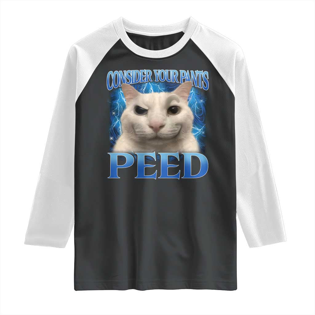 Meme Cat Raglan Shirt Funny Weird Humor Consider Your Pants Peed TS10 Black White Print Your Wear