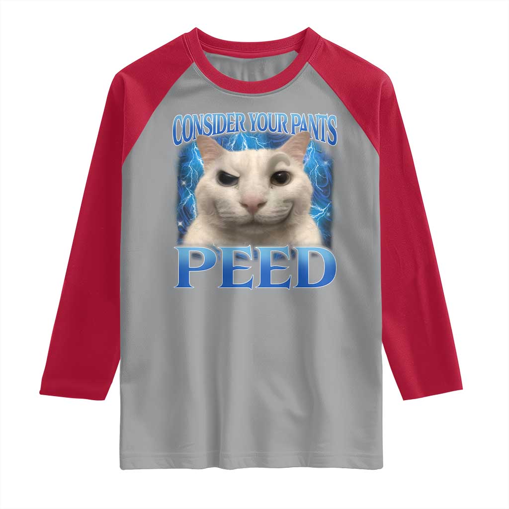 Meme Cat Raglan Shirt Funny Weird Humor Consider Your Pants Peed TS10 Sport Gray Red Print Your Wear