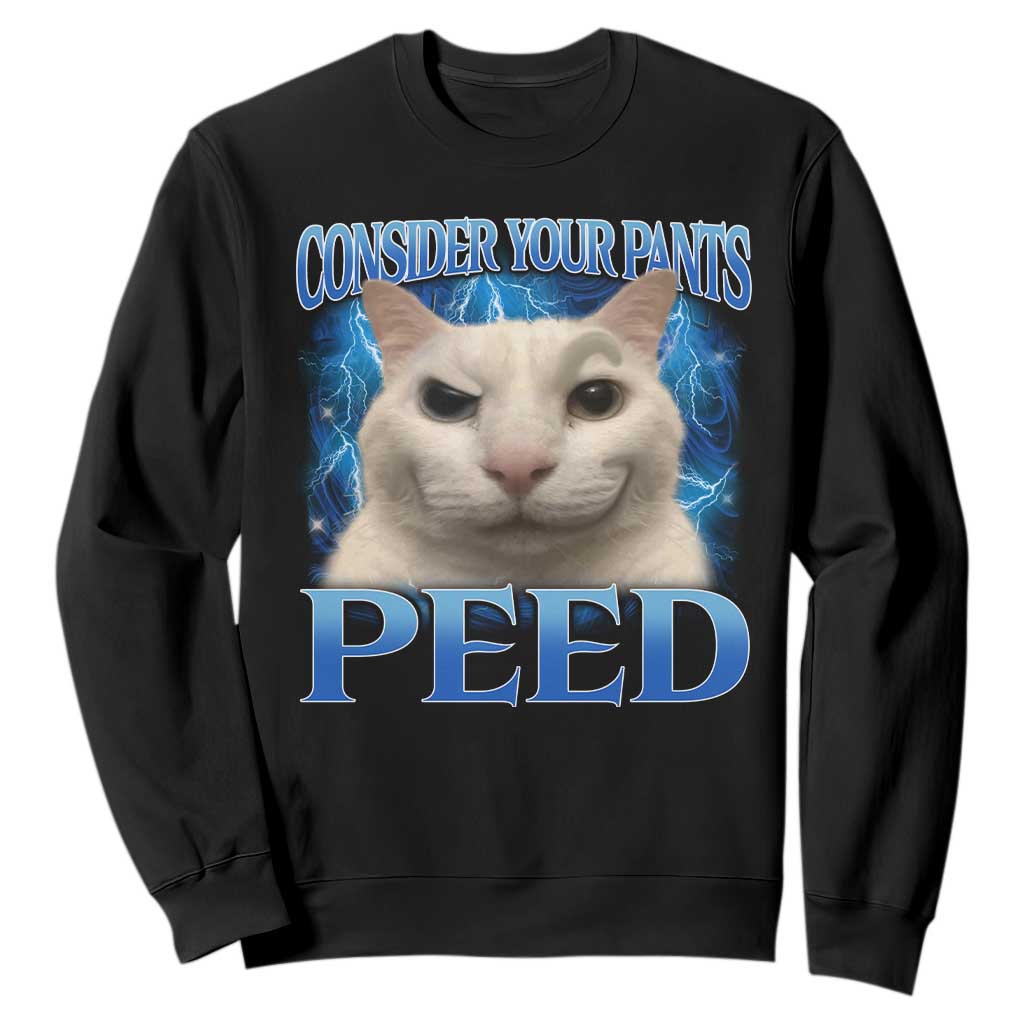Meme Cat Sweatshirt Funny Weird Humor Consider Your Pants Peed TS10 Black Print Your Wear