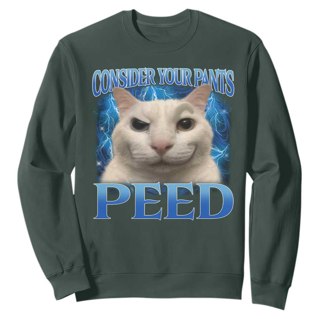 Meme Cat Sweatshirt Funny Weird Humor Consider Your Pants Peed TS10 Dark Forest Green Print Your Wear