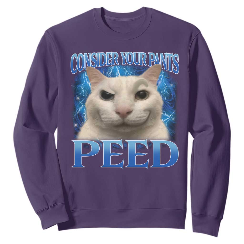 Meme Cat Sweatshirt Funny Weird Humor Consider Your Pants Peed TS10 Purple Print Your Wear