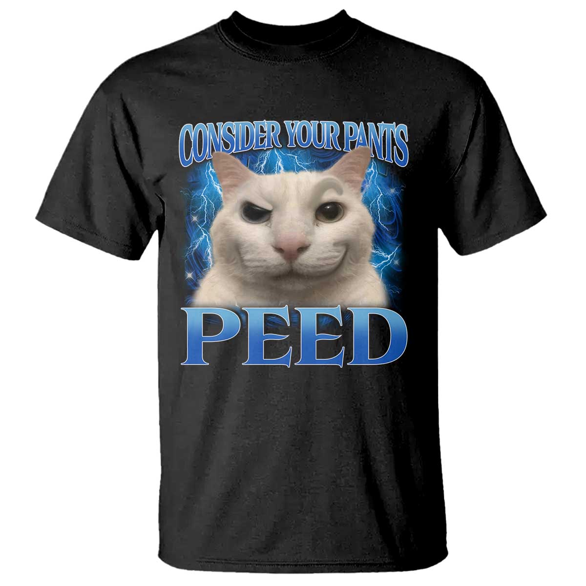 Meme Cat T Shirt Funny Weird Humor Consider Your Pants Peed TS10 Black Print Your Wear