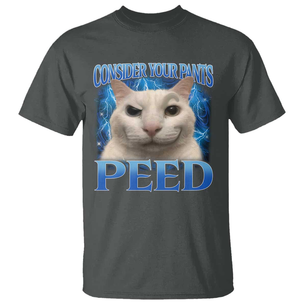 Meme Cat T Shirt Funny Weird Humor Consider Your Pants Peed TS10 Dark Heather Print Your Wear