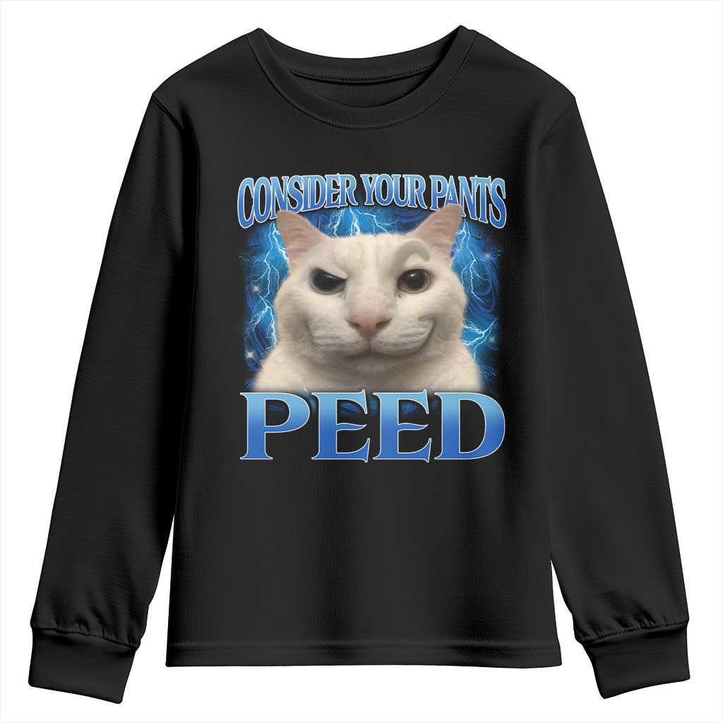 Meme Cat Youth Sweatshirt Funny Weird Humor Consider Your Pants Peed TS10 Black Print Your Wear