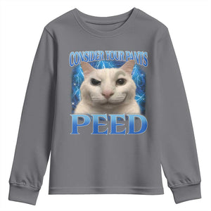 Meme Cat Youth Sweatshirt Funny Weird Humor Consider Your Pants Peed TS10 Charcoal Print Your Wear