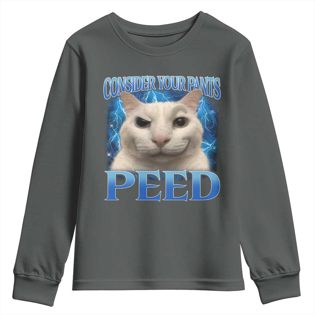 Meme Cat Youth Sweatshirt Funny Weird Humor Consider Your Pants Peed TS10 Dark Heather Print Your Wear
