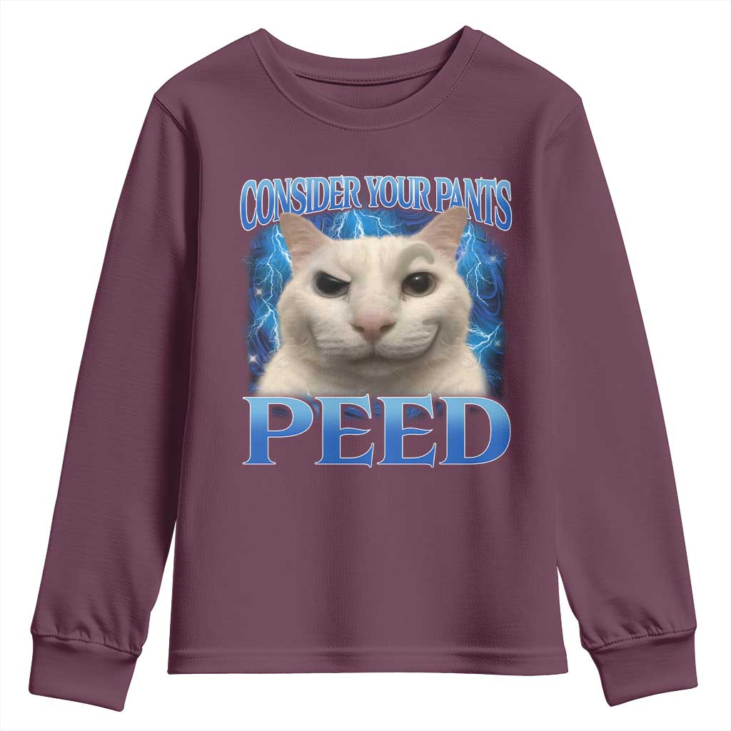 Meme Cat Youth Sweatshirt Funny Weird Humor Consider Your Pants Peed TS10 Maroon Print Your Wear