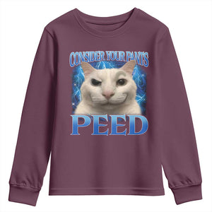 Meme Cat Youth Sweatshirt Funny Weird Humor Consider Your Pants Peed TS10 Maroon Print Your Wear