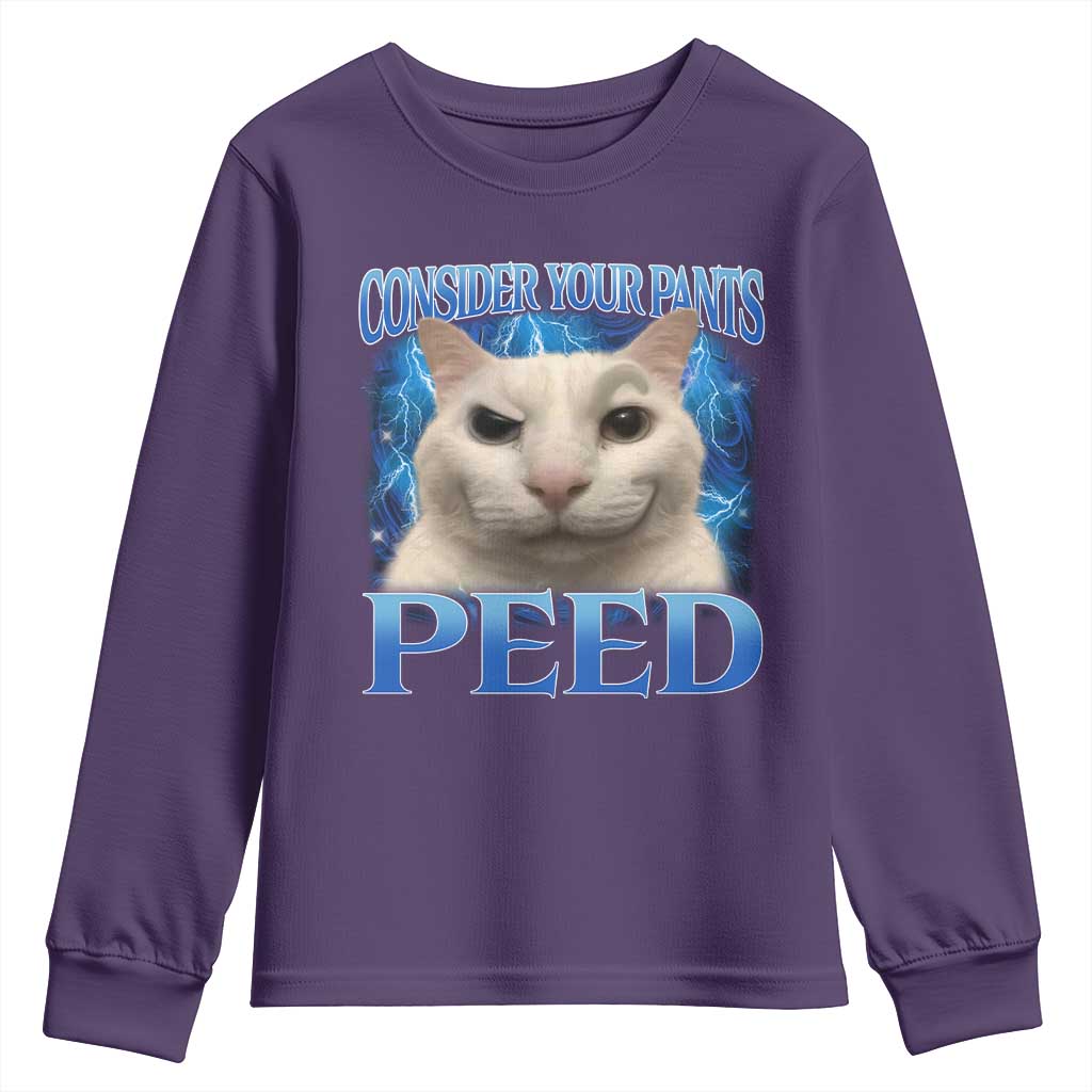 Meme Cat Youth Sweatshirt Funny Weird Humor Consider Your Pants Peed TS10 Purple Print Your Wear