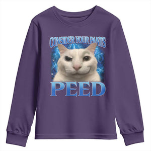 Meme Cat Youth Sweatshirt Funny Weird Humor Consider Your Pants Peed TS10 Purple Print Your Wear