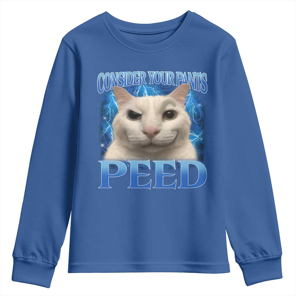 Meme Cat Youth Sweatshirt Funny Weird Humor Consider Your Pants Peed TS10 Royal Blue Print Your Wear