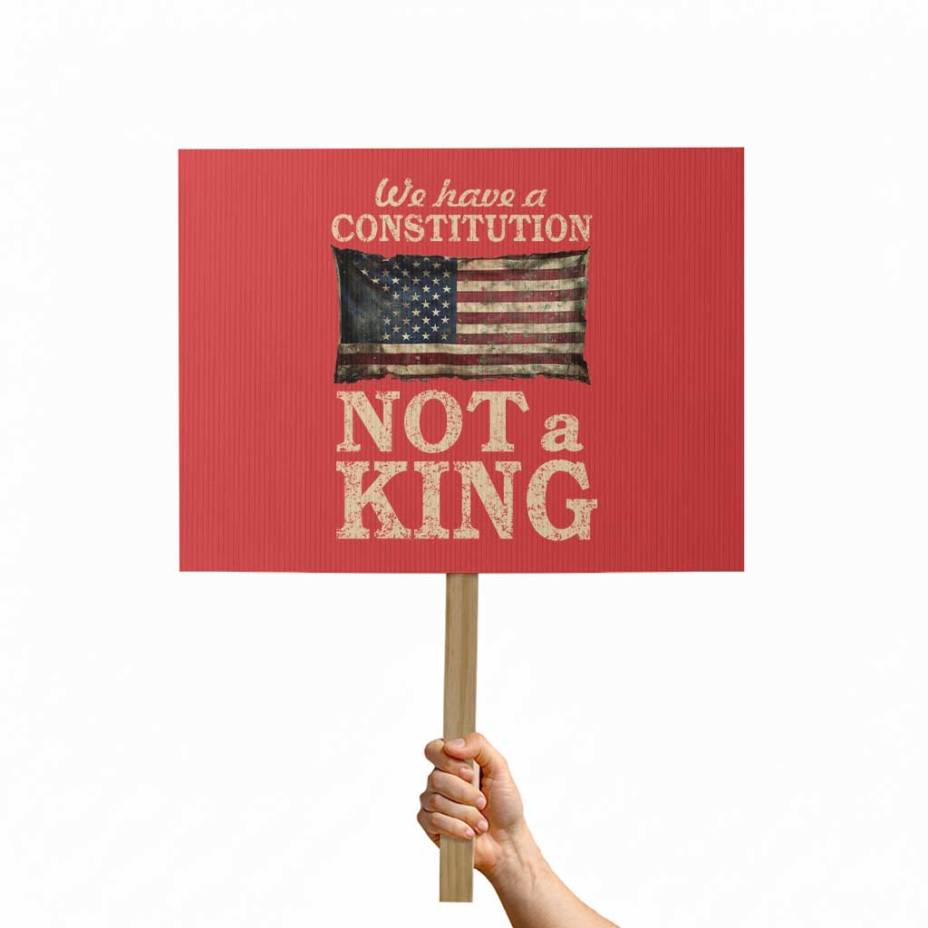 We Have A Constitution Not A King Protest Sign Retro Social Justice American Flag TS10 Horizontal 18