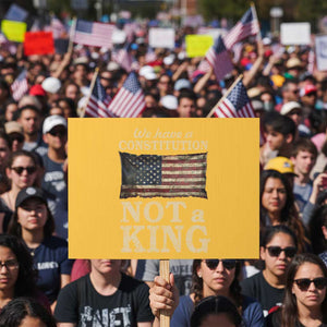 We Have A Constitution Not A King Protest Sign Retro Social Justice American Flag TS10 Horizontal 18" × 24" Yellow Print Your Wear