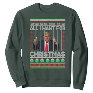 Funny Christmas Trump Prison Sweatshirt All I Want For Xmas Is Subtle FDT TS10 Dark Forest Green Print Your Wear