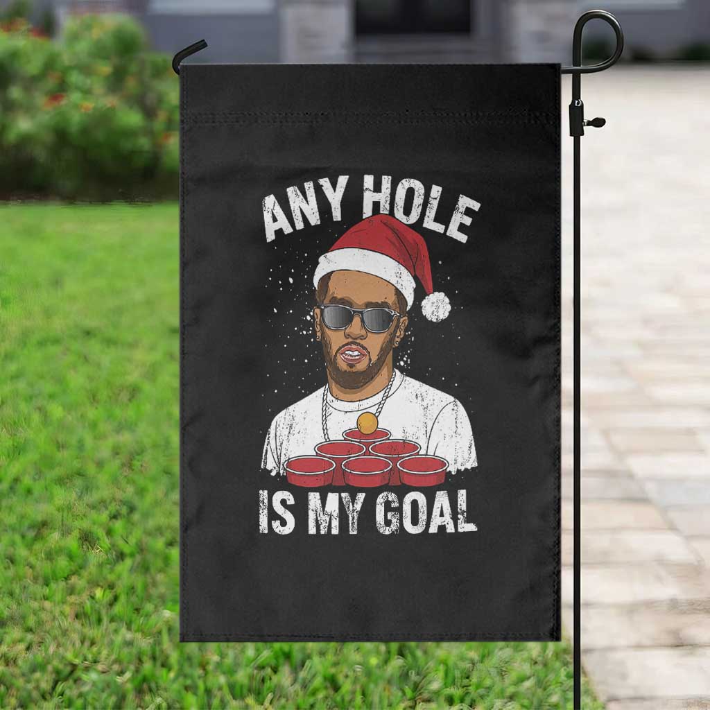 Funny Christmas Diddy Garden Flag Any Hole is My Goal TS10 Print Your Wear