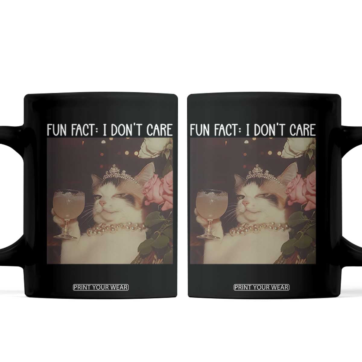 Cat Meme Coffee Mug Fun Fact I Dont Care Funny Saying Quote TS10 Black Print Your Wear
