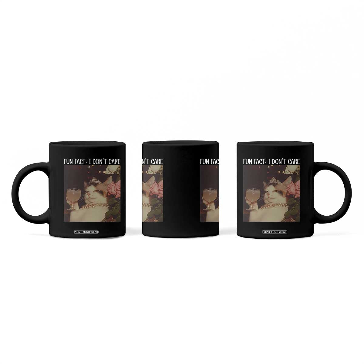 Cat Meme Coffee Mug Fun Fact I Dont Care Funny Saying Quote TS10 Print Your Wear