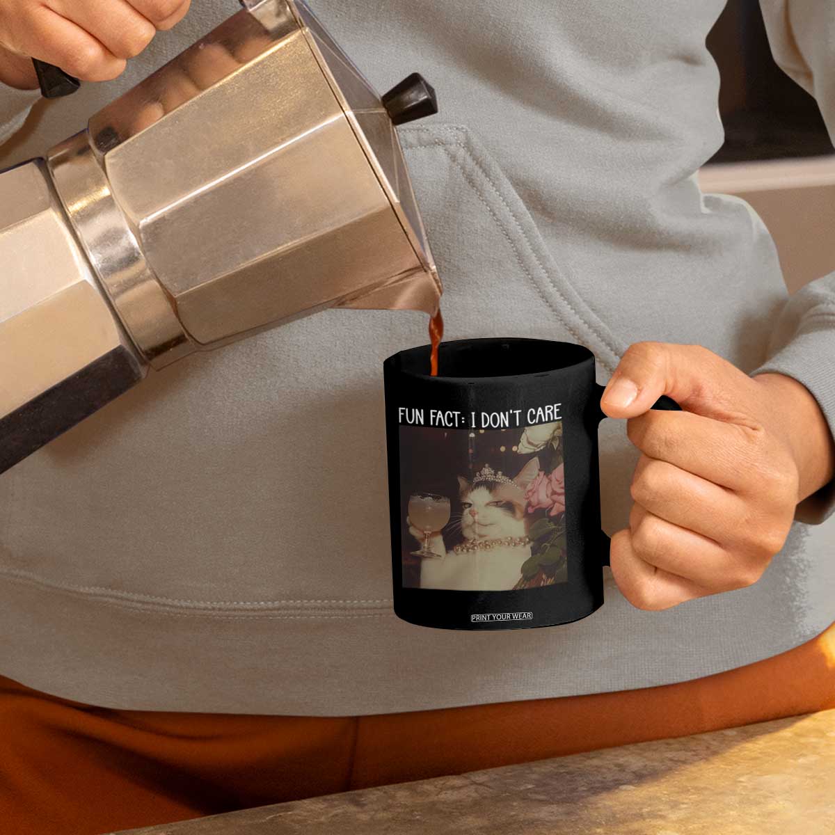 Cat Meme Coffee Mug Fun Fact I Dont Care Funny Saying Quote TS10 Print Your Wear