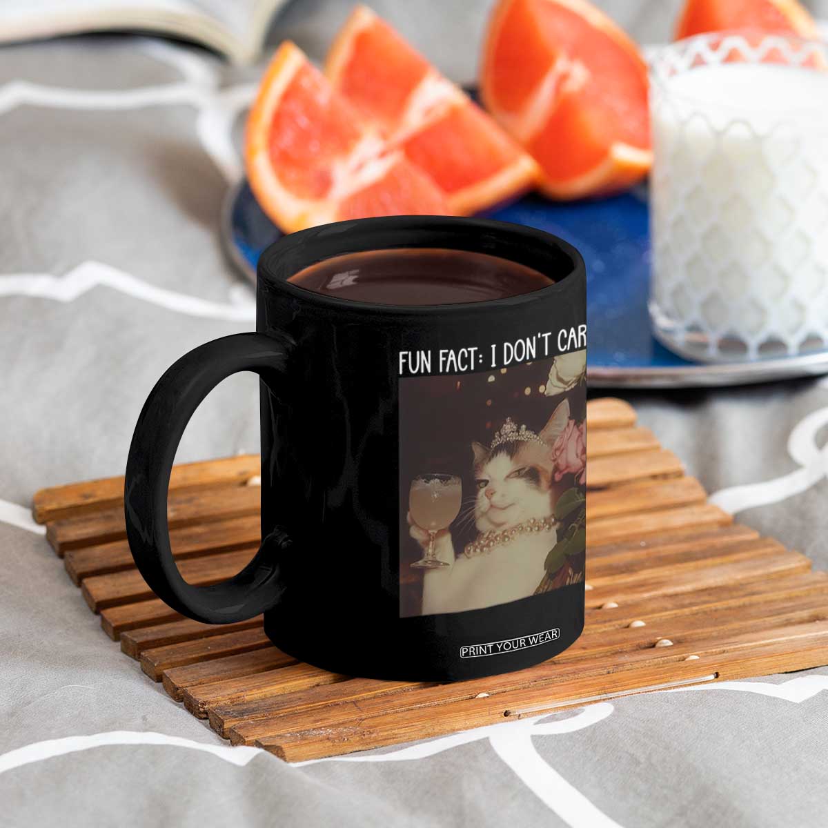Cat Meme Coffee Mug Fun Fact I Dont Care Funny Saying Quote TS10 Print Your Wear