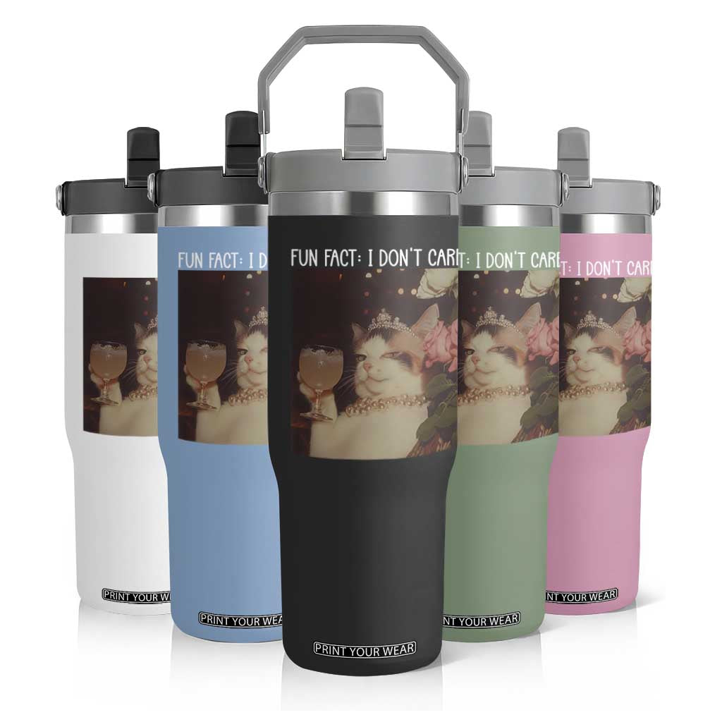 Cat Meme Flip Straw Tumbler Fun Fact I Dont Care Funny Saying Quote TS10 Print Your Wear