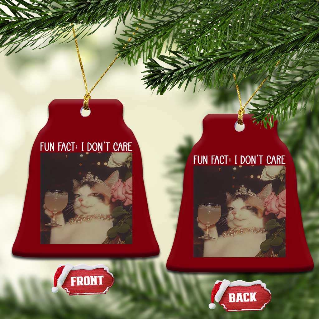 Cat Meme Ceramic Ornament Fun Fact I Dont Care Funny Saying Quote TS10 Print Your Wear