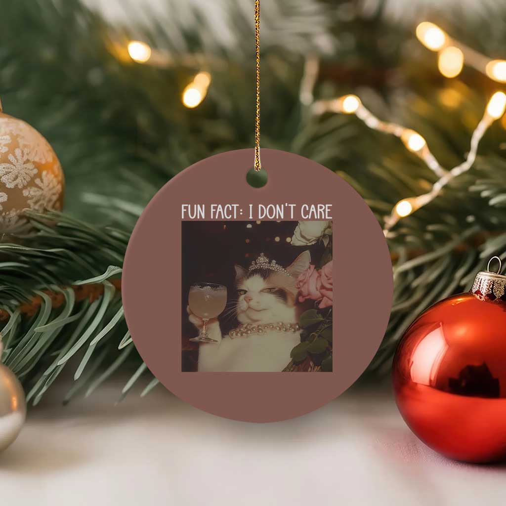 Cat Meme Ceramic Ornament Fun Fact I Dont Care Funny Saying Quote TS10 1pc Mocha Print Your Wear