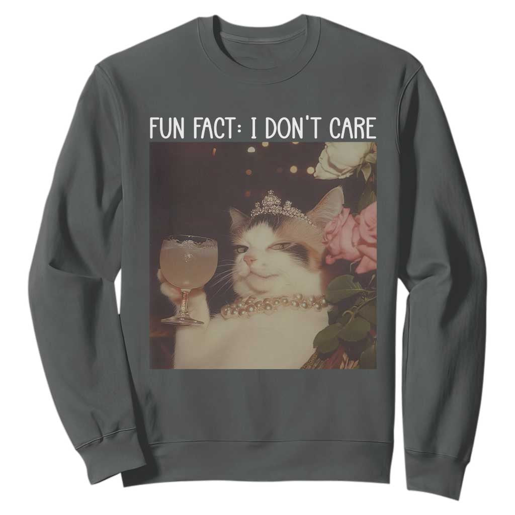 Cat Meme Sweatshirt Fun Fact I Dont Care Funny Saying Quote TS10 Dark Heather Print Your Wear