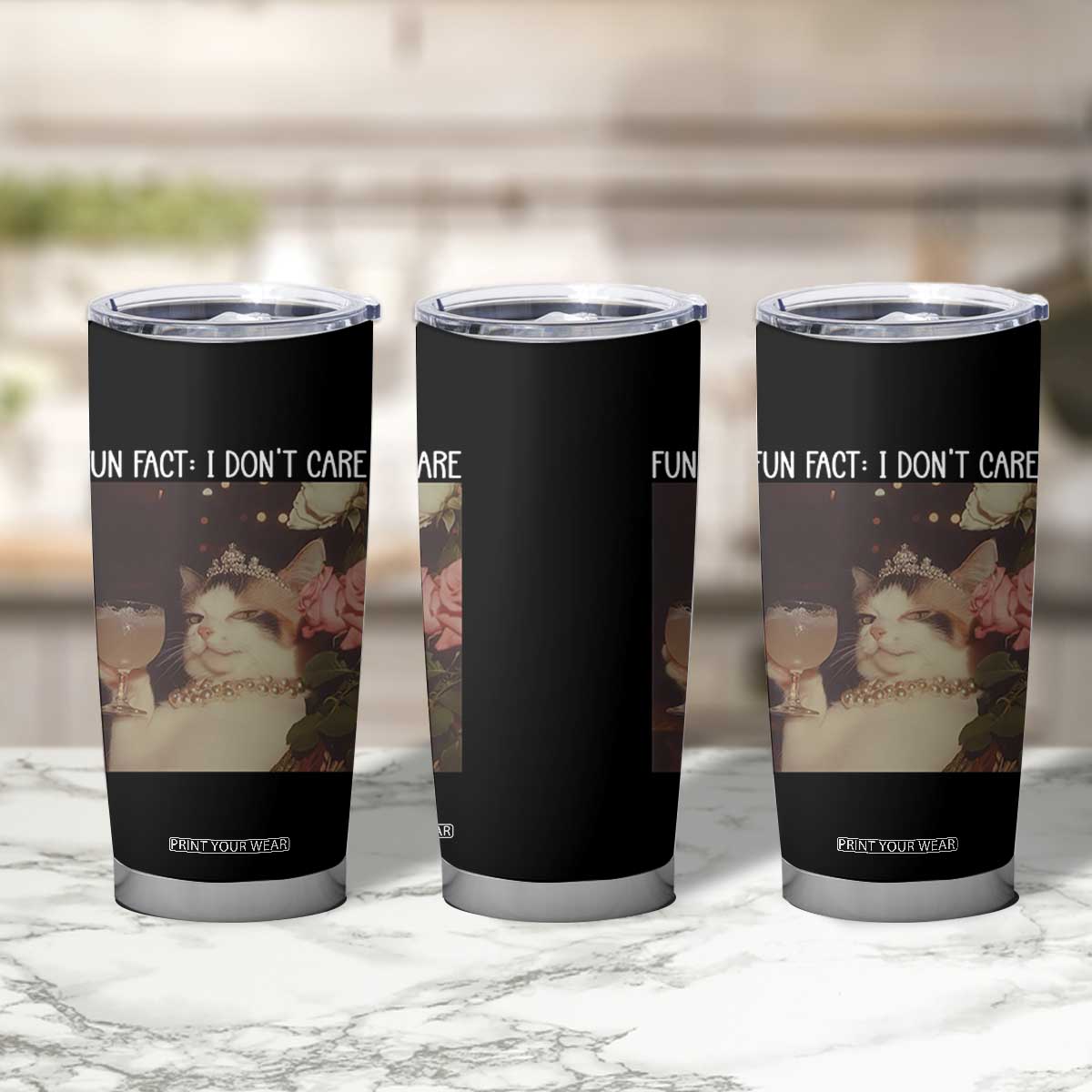Cat Meme Tumbler Cup Fun Fact I Dont Care Funny Saying Quote TS10 Print Your Wear